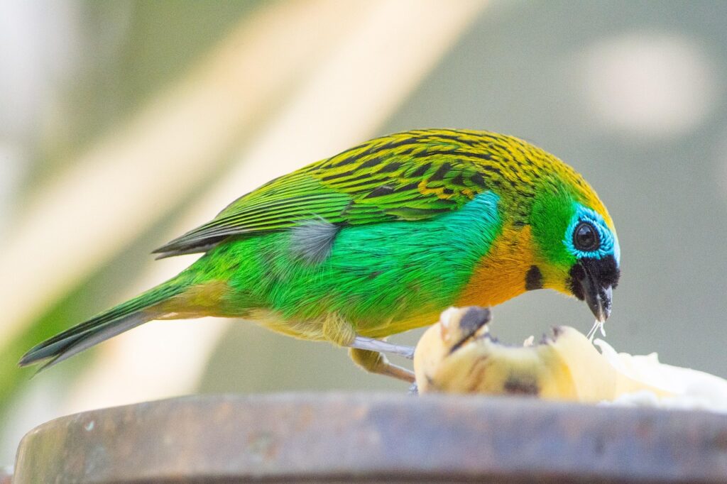 ウルセラの体験談から得た効果的な施術方法とは？