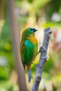 ウルセラの料金はどのくらいかかるの？