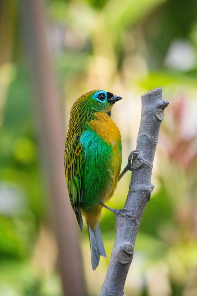 ウルセラの料金はどのくらいかかるの？
