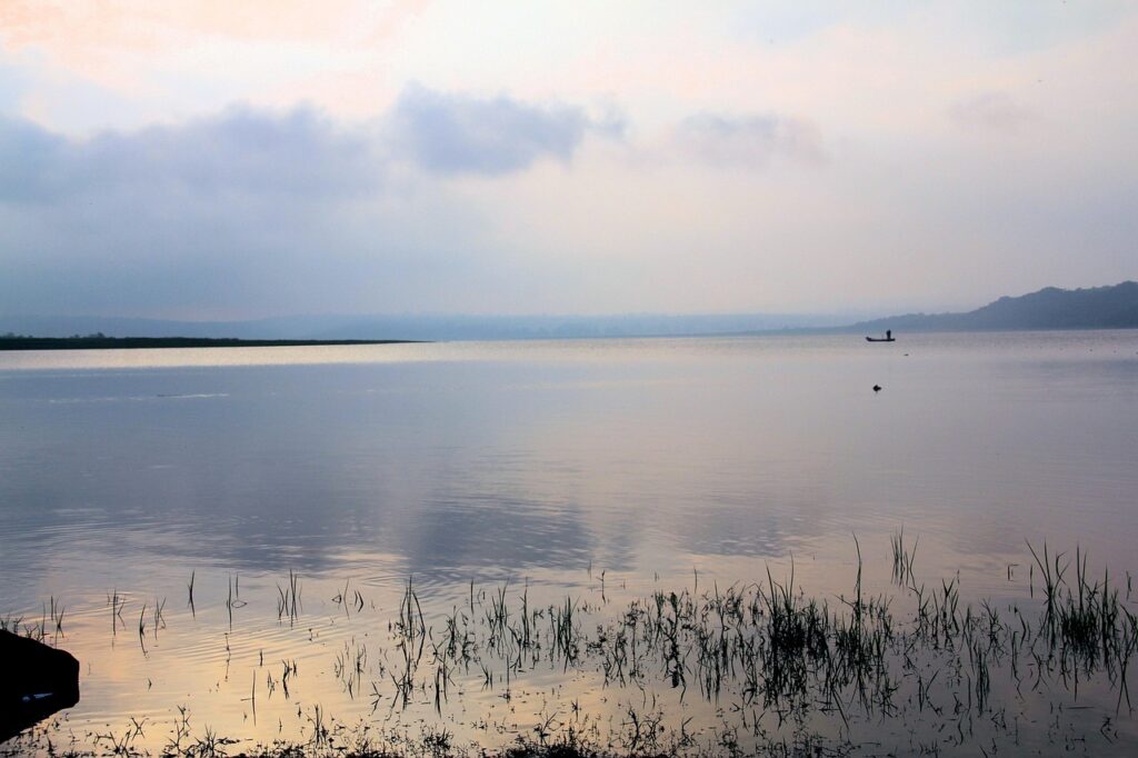 ウルセラの値段はどのくらいか知っていますか？