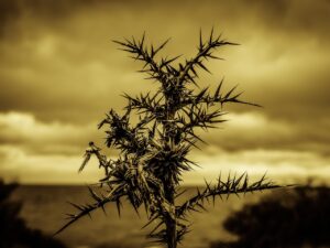 ウルセラの痛みはいつまで続くのか？