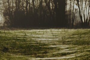 ハイフと糸リフトの違いとは何ですか？