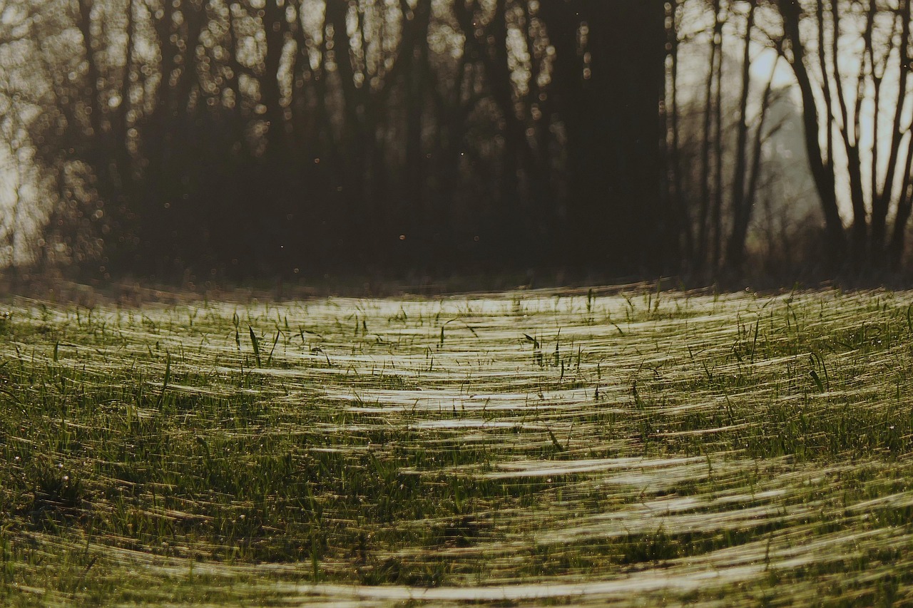 ハイフと糸リフトの違いとは何ですか？