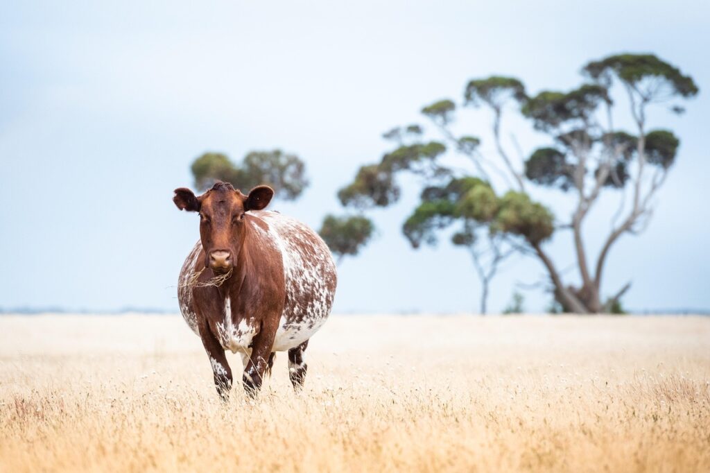 ハイフは生理中でも大丈夫なのか？
