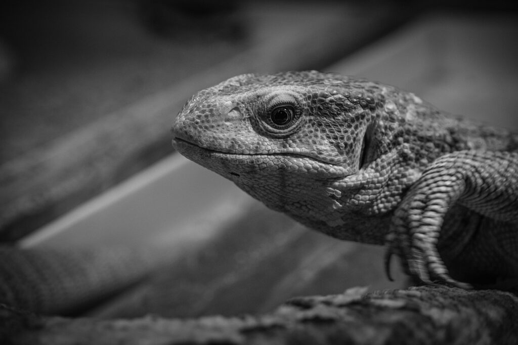 ハイフの効果はどのくらいの期間持続するのか？