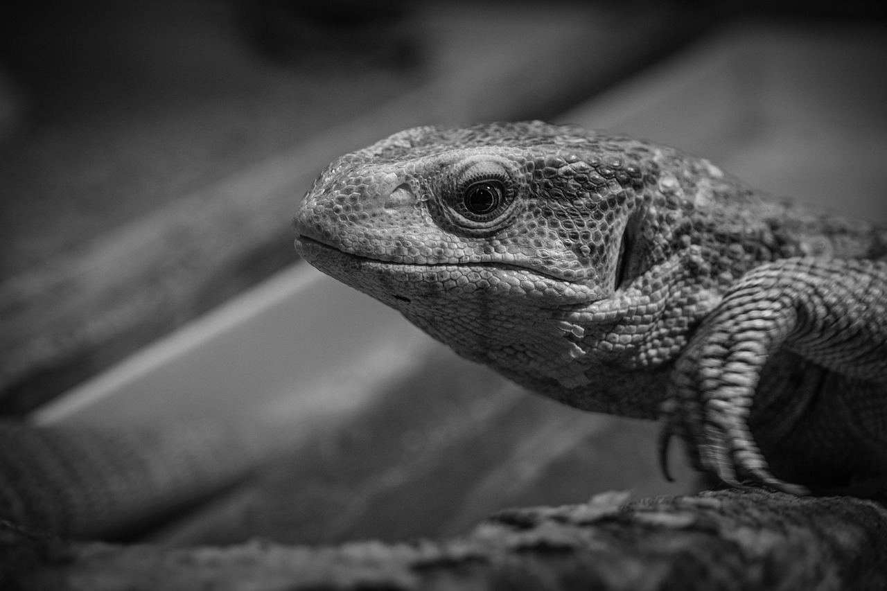 ハイフの効果はどのくらいの期間持続するのか？