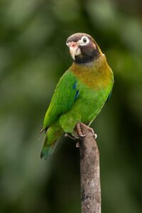 ハイフで頬上がる効果を実感するためのポイントは？