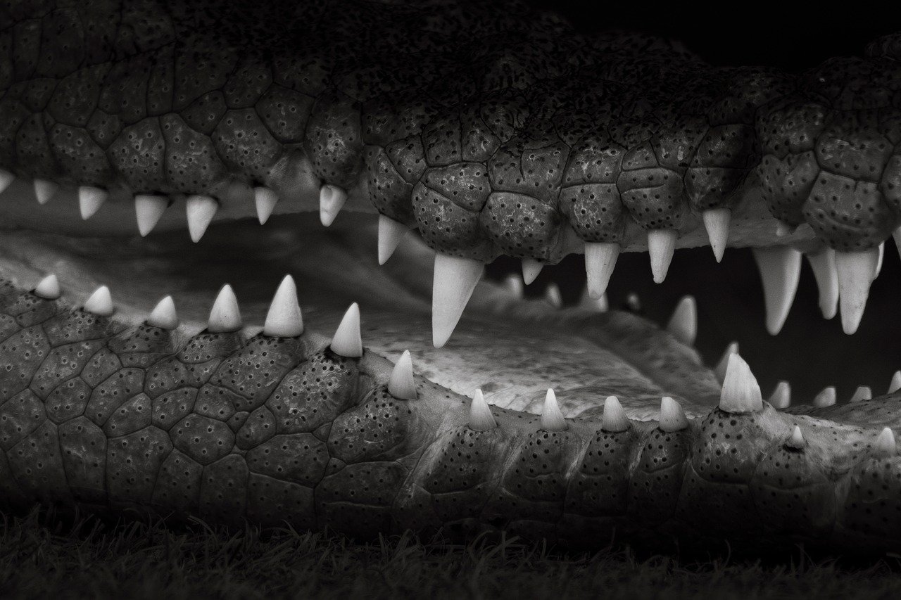 切らないリフトアップの危険性は本当にある？