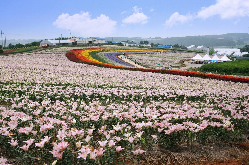 ハイフが安すぎる理由は本当に危ないのか？