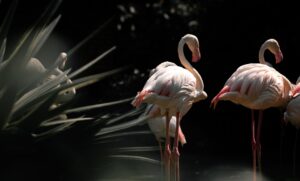 ハイフの待ち時間が長いクリニックは本当に避けるべき？