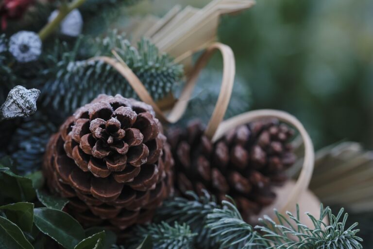 ハイフで失敗しないためのチェックリストは何を確認すればいい？